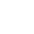 Government